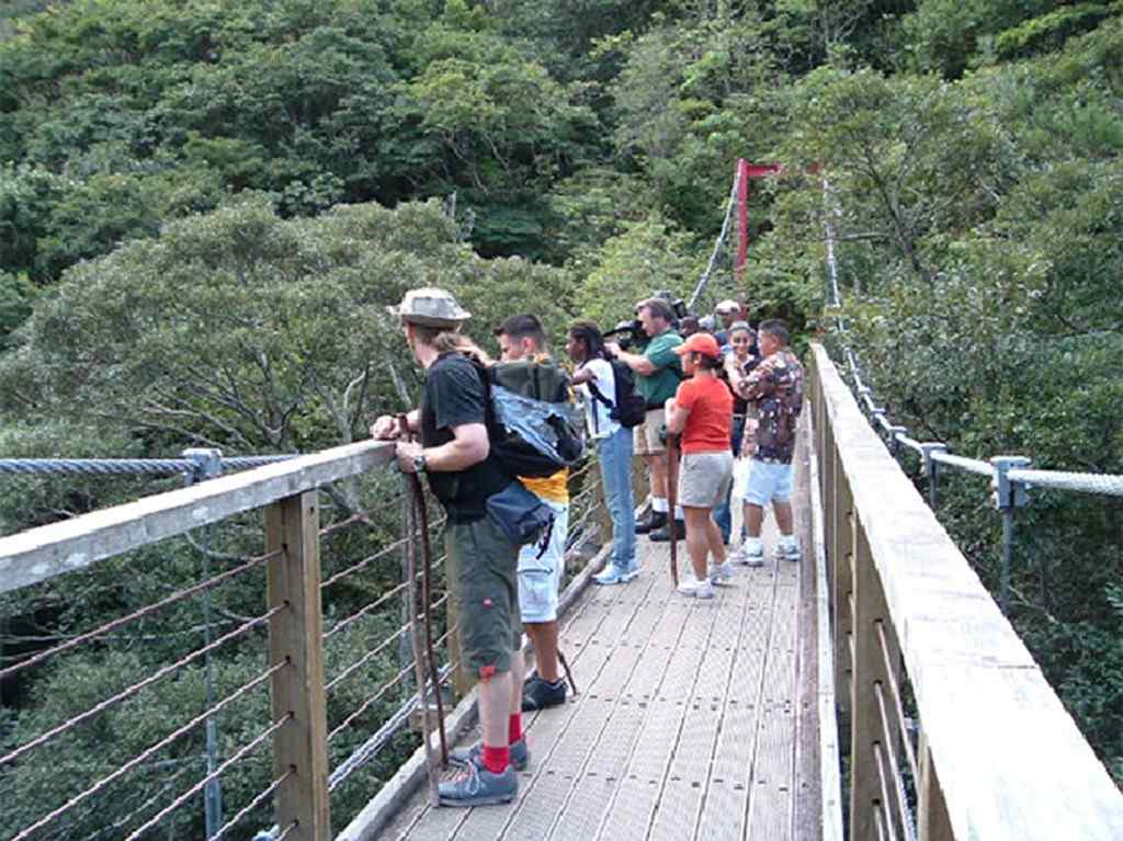 People on a suspension bridge